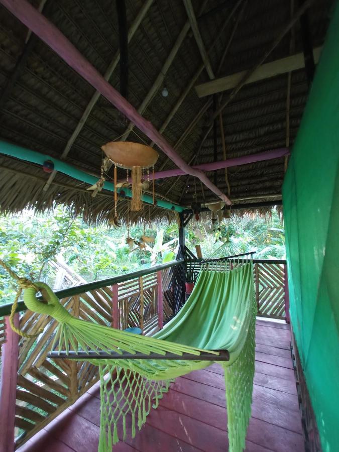 Hostal Buho Amazonas Tours Leticia Ngoại thất bức ảnh